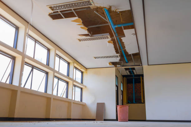 Best Water damage restoration company  in Seven Fields, PA