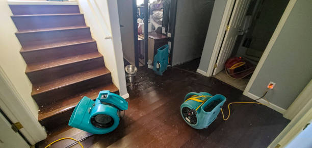 Best Water damage restoration cost  in Seven Fields, PA