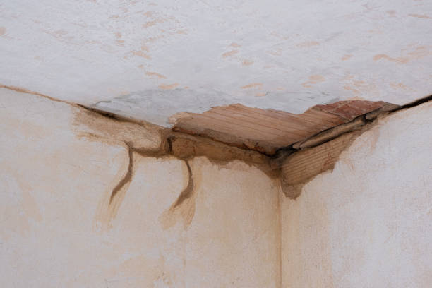 Best 24-hour water damage restoration  in Seven Fields, PA