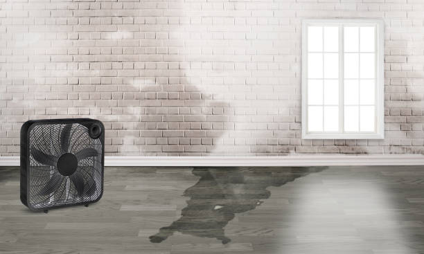 Best Ceiling water damage repair  in Seven Fields, PA