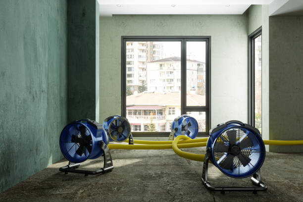 Best 24-hour water damage restoration  in Seven Fields, PA