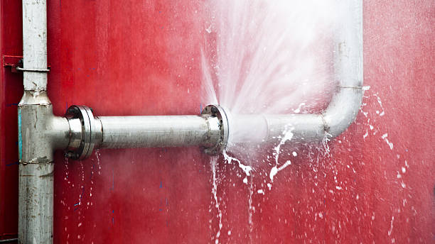 Best Carpet water damage restoration  in Seven Fields, PA