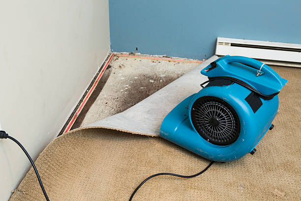 Best Fire Damage Restoration  in Seven Fields, PA